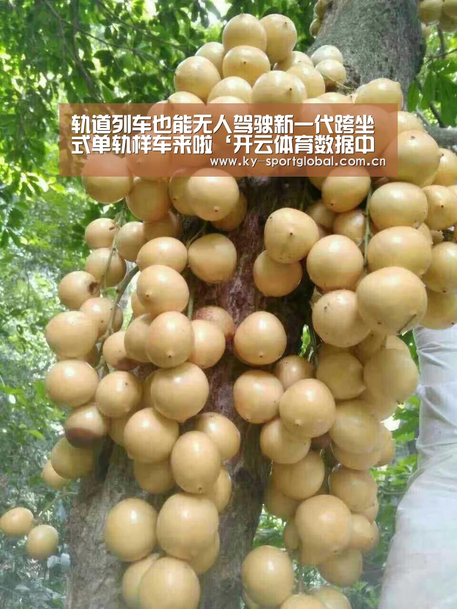 轨道列车也能无人驾驶新一代跨坐式单轨样车来啦‘开云体育数据中心’(图1) 开云体育