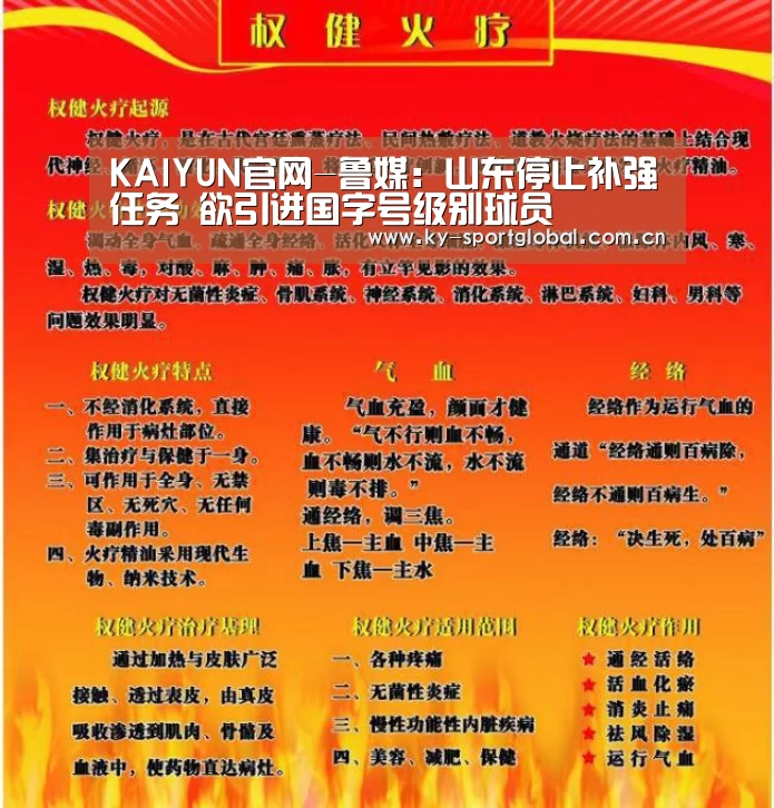 KAIYUN官网-鲁媒:山东停止补强任务 欲引进国字号级别球员(图2) 开云体育