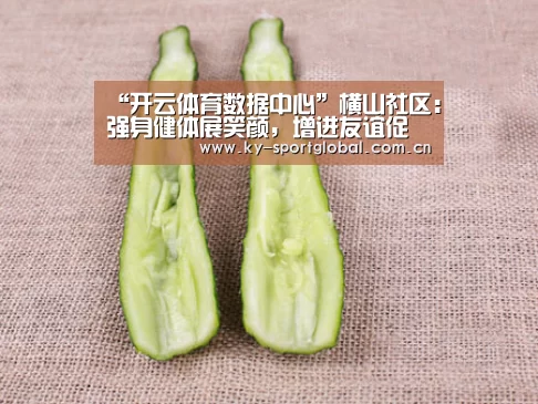 “开云体育数据中心”横山社区:强身健体展笑颜,增进友谊促和谐(图4) 开云体育数据中心