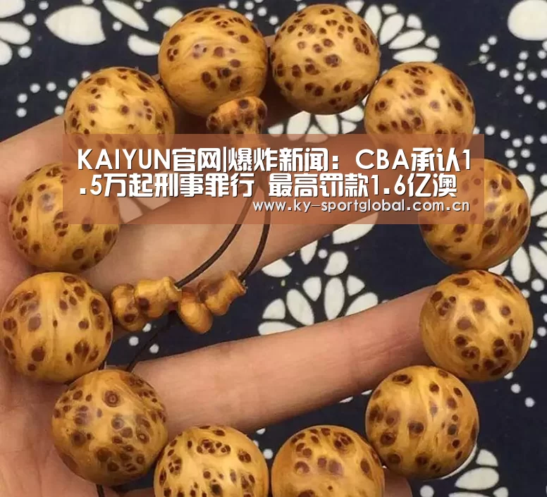 KAIYUN官网|爆炸新闻:CBA承认1.5万起刑事罪行 最高罚款1.6亿澳元(图1) 开云入口