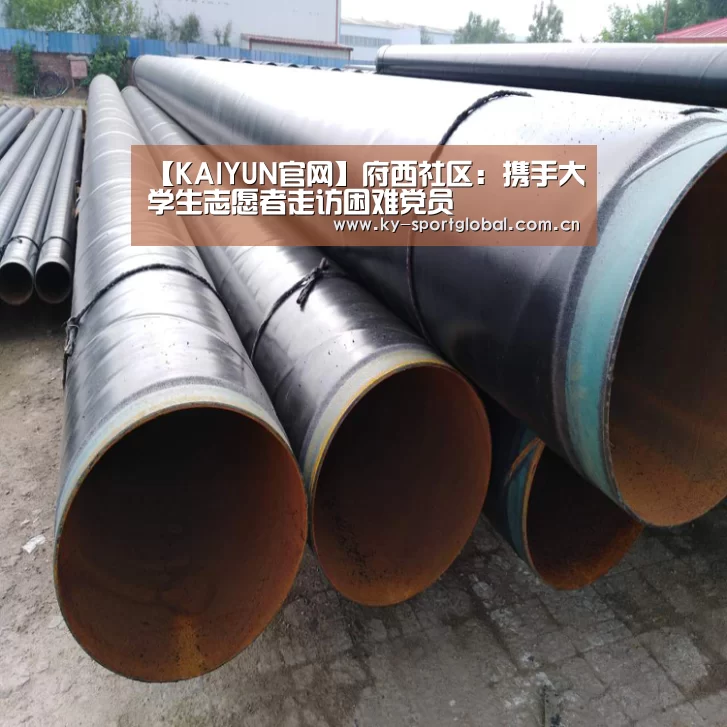 【KAIYUN官网】府西社区:携手大学生志愿者走访困难党员(图2) 开云体育数据中心