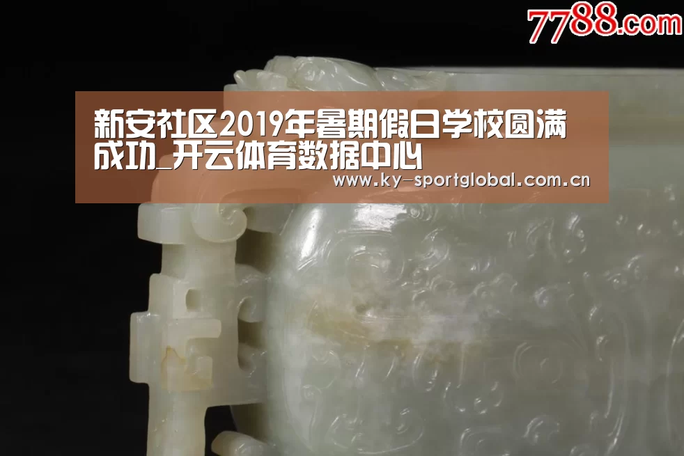 新安社区2019年暑期假日学校圆满成功_开云体育数据中心(图2) 开云体育数据中心
