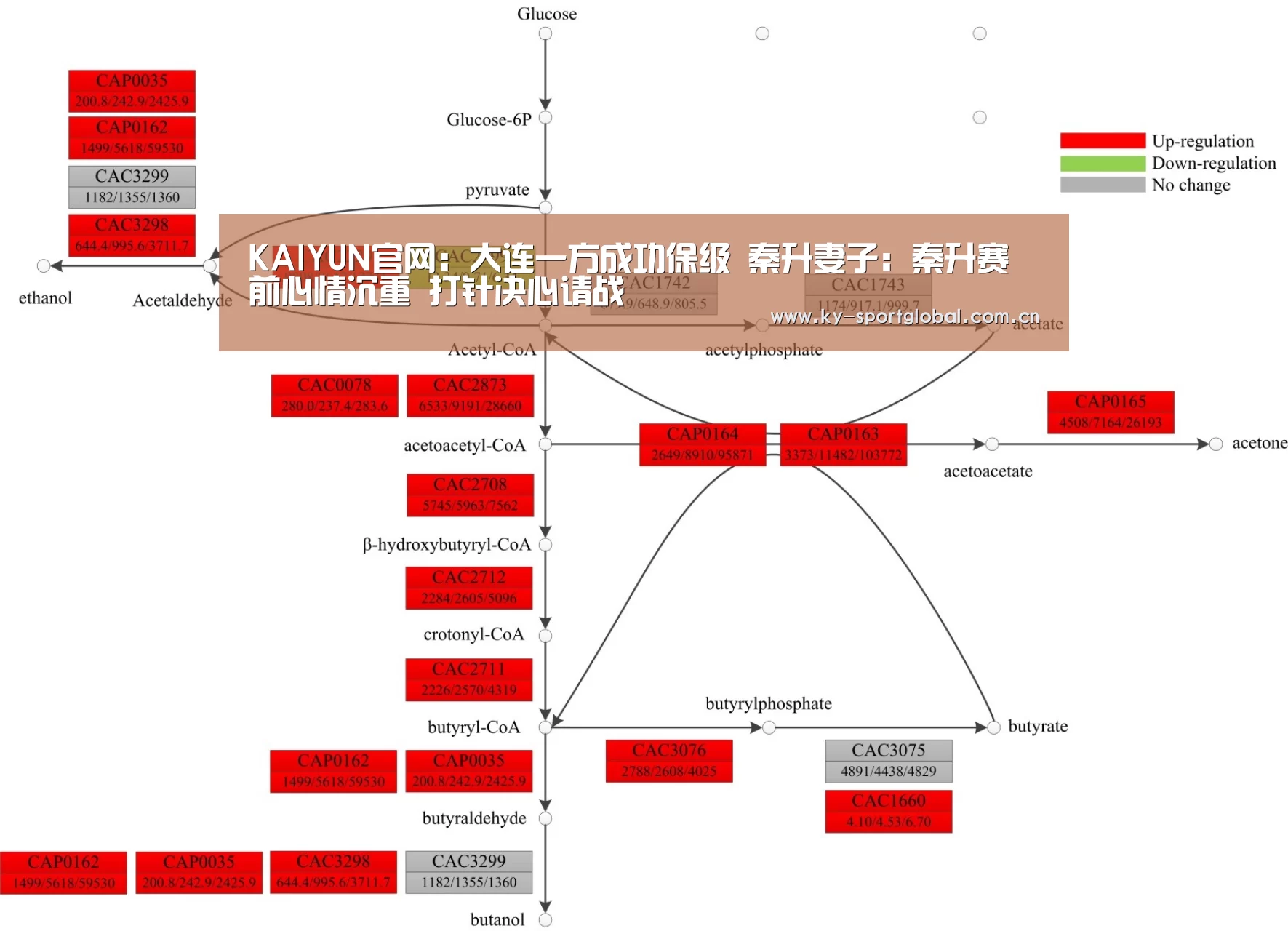 KAIYUN官网:大连一方成功保级 秦升妻子:秦升赛前心情沉重 打针决心请战(图1) 开云入口
