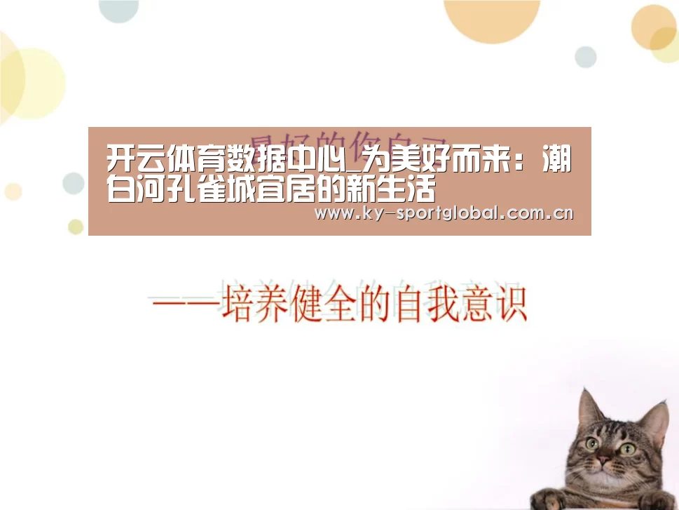 KAIYUN官网