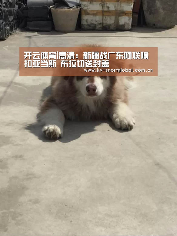 开云体育|高清:新疆战广东阿联隔扣亚当斯 布拉切送封盖(图1) 开云体育数据中心