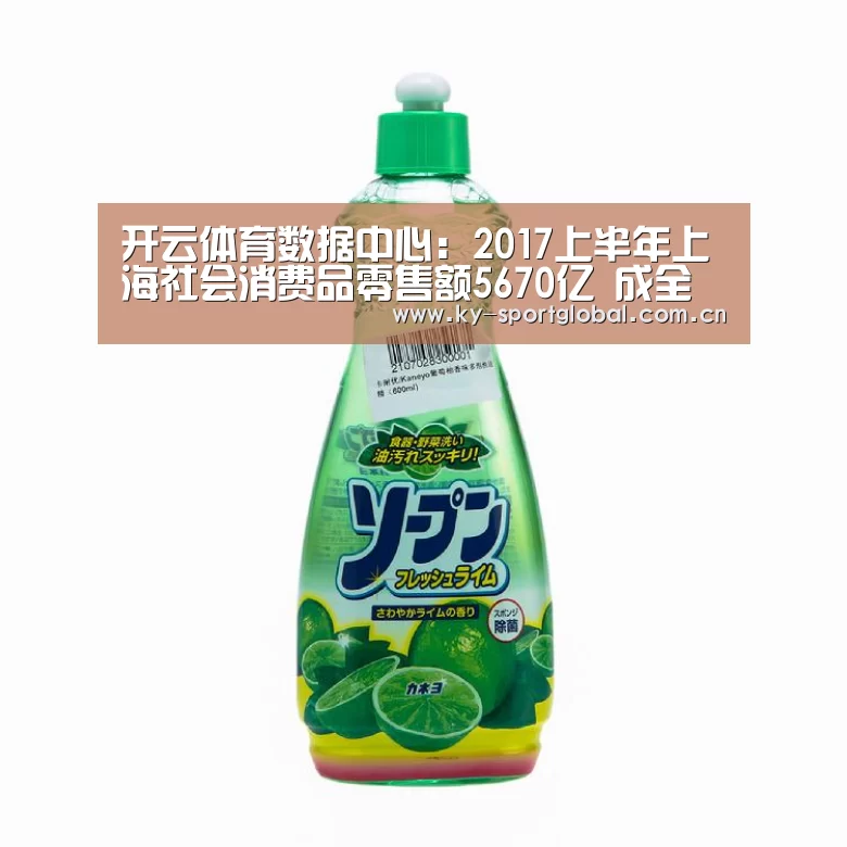 开云体育数据中心:2017上半年上海社会消费品零售额5670亿 成全国最能花钱城市(图1) 开云入口