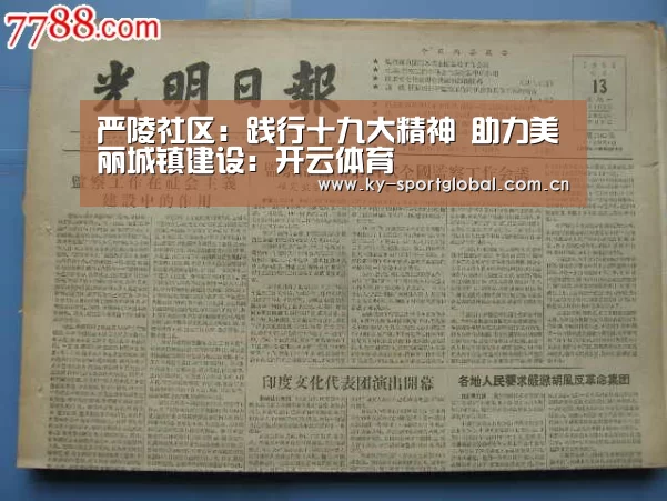 严陵社区:践行十九大精神 助力美丽城镇建设:开云体育(图3) 开云入口