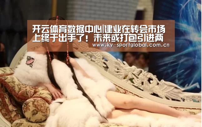 开云体育数据中心|建业在转会市场上终于出手了!未来或打包引进两位恒大悍将(图1) KAIYUN官网