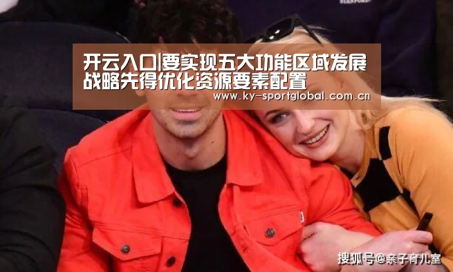 开云入口|要实现五大功能区域发展战略先得优化资源要素配置(图2) 开云体育数据中心