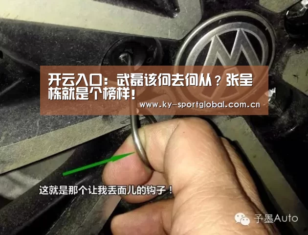 开云入口:武磊该何去何从?张呈栋就是个榜样!(图2) 开云体育